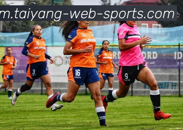 太阳城APP 体育赛事宣传图